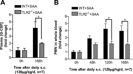Figure 7. TLR2 is required for SAA-induced neutrophilia in mice. (A) SAA was injected subcutaneously into age- and sex-matched C57BL/6 and Tlr2−/− mice (n = 7). The plasma concentration of G-CSF was determined at the end of the study (168 hours). (B) SAA was injected into these mice as in panel A. Blood samples were collected before injection (0 hours) and at 48, 120, and 168 hours after the initial injection. Neutrophil counts in the whole blood were obtained from WBC differential counts and presented as fold changes. *P < .05 compared with WT mice. In both types of mice, there is a significant difference (P < .05) between 0 hours and other time points in all panels.