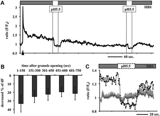 Figure 3. Effects of perfusion of Mes-buffered pH 5.5 solution on the fluorescence intensity of tPA-GFP after opening of the granules. (A) tPA-GFP–expressing EA.hy926 cells were perfused with Mes-buffered pH 5.5 solution for 30 seconds every 5 minutes, 3 times. Representative data on the relative changes in fluorescence intensity (F/F0) of tPA-GFP in one single secretory granule at 1.4 Hz are shown. Application of pH 5.5 solution (dashed box) caused an abrupt decrease in GFP fluorescence intensities after exocytosis, which was quickly recovered on neutralizing the pH (HBS). Arrowhead indicates opening of the granule. Similar fluctuations were observed even at the second application of the pH 5.5 solution in 45 (67%) of 67 granules in 5 independent experiments. (B) Abscissa: time after granule opening before application of pH 5.5 solution; ordinate: percentage decrease in relative fluorescence intensity in individual granules after application of pH 5.5 solution. Mean plus or minus SD in each time category from 126 events of pH 5.5 application in 67 opened granules. (C) Expanded graph of panel A at the first application of pH 5.5 solution. Application of pH 5.5 solution triggered the decrement of GFP fluorescence in postexocytotic spots (●), but did not significantly change this in unopened granules (▵, mean ± SE from 6 granules).