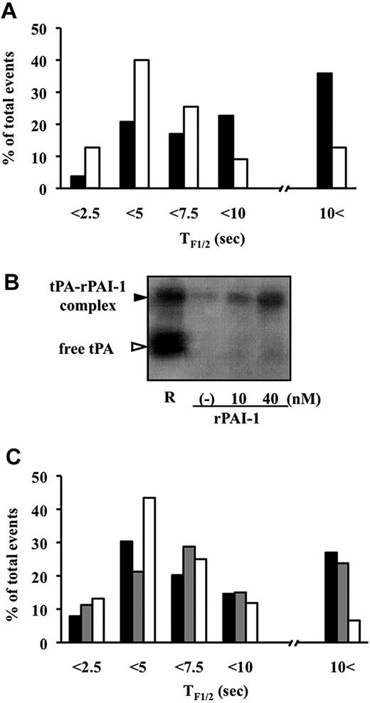 Figure 6. The effect of recombinant PAI-1 on membrane surface–retained tPA. (A) TF1/2 values of tPA-GFP (abscissa) before (■: 53 granules) and after (□: 55 granules) addition of 40 nM recombinant PAI-1 (6 cells, 4 independent experiments) shown as percentages of total occurrences (ordinate). Exogenous PAI-1 increased the frequency of rapidly disappearing fluorescence having short TF1/2. (B) Fibrin autography of the supernatants of the cells incubated with exogenous rPAI-1 at 0, 10, and 40 nM for 60 minutes. The amounts of tPA increased as a function of the amounts of added PAI-1, in the form of a tPA-PAI-1 complex in the supernatant. A representative image from 5 independent experiments is shown. (C) TF1/2 values of tPA-GFP (abscissa) before (■: 89 granules), after incubation with 400 nM RAP (: 80 granules), and after further addition of 40 nM recombinant PAI-1 (□, 76 granules) from 6 independent experiments shown as percentages of total occurrences (ordinate). The presence of RAP did not change the effect of PAI-1 as shown in panel A.