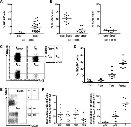 Figure 2. NKp80 expression on CD8 T cells is largely restricted to subsets of effector memory cells. Freshly isolated PBMCs from healthy donors were analyzed for NKp80 surface expression (anti-NKp80 mAb 5D12) by various subsets of αβ T cells. (A) Frequencies of NKp80+ cells among CD8 αβ T cells or CD4 αβ T cells. Stained PBMCs of 30 donors were gated for CD3 and αβ TCR and analyzed for frequencies of NKp80+ cells among CD4- or CD8-expressing cells. (B) Frequencies of NKp80+ cells among CD56+ and CD56− CD8 T cells (left), and of CD56+ cells among CD8 T cells (right). Stained PBMCs of 11 donors were analyzed for NKp80+ cells after gating on CD3 and CD8. (C,D) Analysis of NKp80 expression by naive (TN), central memory (TCM), effector memory (TEM), and effector (TEMRA) CD8 αβ T cells. PBMCs gated for CD8 and αβ TCR-gated cells were further subgated according to CD45RA and CCR7 expression (C, right), and subgated cells analyzed for frequencies of NKp80+ cells. (C) Representative example and (D) data compiled from 8 donors are shown. (E,F) Prevalence of NKp80+ cells among subsets of TEM and TEMRA CD8 αβ T cells. PBMCs were gated as in (C) and TEM and TEMRA cells further subdivided according to their CD27/CD28 expression (E, right). (E) Representative analysis of TEM and TEMRA CD8 T cells for distribution of NKp80+ (black dots) and NKp80− (gray dots) cells in the respective subsets. (F) Distribution of NKp80+ TEM CD8 αβ T cells among subsets EM1, EM2, EM3, and EM4 (left) and NKp80+ TEMRA CD8 αβ T cells among pE1, pE2, and E subsets (right) is depicted for 8 donors. In panels A, B, D, and F, means are indicated by horizontal bars.