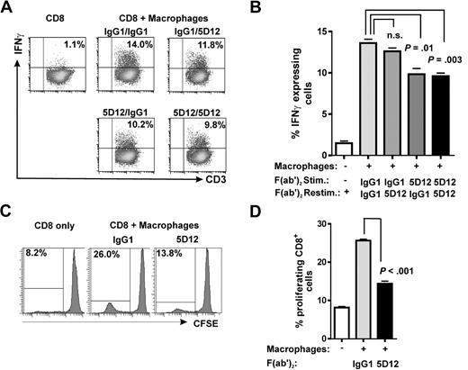 Figure 7. NKp80 stimulates alloresponses of CD8 T cells toward macrophages. (A,B) Purified CD8+ T cells were stimulated with irradiated allogeneic macrophages for 8 days in the presence of anti-NKp80 (Fab′)2 5D12, or control IgG1 (stimulation) and subsequently, assayed for IFNγ secretion upon restimulation with macrophages. Allogeneic macrophages used for stimulation and restimulation came from the same culture. Dot plots (A) and mean and standard deviations of triplicates (B) for one representative of 3 experiments are shown. (C,D) CFSE-labeled, purified CD8 T cells were cocultured with allogeneic macrophages for 8 days in the presence of anti-NKp80 (Fab′)2 5D12 or control IgG1 and frequencies of proliferating cells analyzed by flow cytometry. Histogram plots (C) and means and standard deviations of triplicates (D) for one representative of 3 experiments are shown. Purified CD8 T cells used for experiments shown in panels A through D were approximately 15%-20% NKp80+.