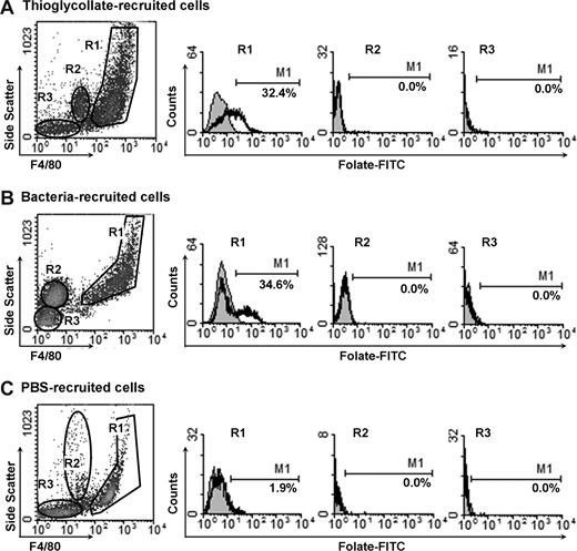 Figure 1. Flow cytometric analysis of FR+ peritoneal cells. Representative flow cytometric analyses of FR expression on (A) thioglycolate-recruited, (B) bacteria-recruited, and (C) quiescent peritoneal cells. Three days after intraperitoneal injection of thioglycolate, live P aeruginosa, or sterile PBS, peritoneal cells were removed and analyzed by flow cytometry. On the basis of side scatter and F4/80 fluorescence, 3 regions (R1-R3) of density plots were defined. Cells in R1 are macrophages; cells in R2 granulocytes; cells in R3 lymphocytes and a few erythrocytes. The cell suspension was stained with 100 nM folate-FITC in the absence (solid black histogram) or presence of an excess (10 μM) of free folic acid to competitively occupy FR (filled gray histogram). The percentage of FR+ cells (average from at least 3 independent experiments) within each gate is shown.
