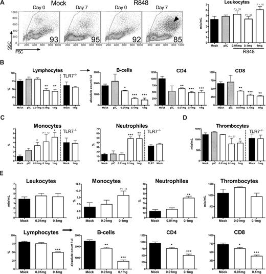 Figure 1. Sustained TLR7 stimulation induces lymphopenia and increased neutrophil and monocyte numbers. (A-D) Mice were treated with the TLR7 ligand R848 in a daily fashion. After 7 days of treatment, blood was analyzed for the presence of leukocytes, lymphocytes, monocytes, neutrophils, and thrombocytes 1 hour after the last injection. (A) R848 treatment did not affect absolute numbers of circulating leukocytes. Left: 1 mg R848/kg per day; analysis by flow cytometry before and after treatment. Numbers signify percentage of viable leukocytes as determined by FSC/SSC characteristics. Arrowhead indicates monocytes and neutrophils (ie, large granular cells with high FSC/SSC properties). Right: analysis by hemocounter. (B) Total lymphocytes and all major lymphocytic cellular subsets (ie, B220+ B cells, CD4+, and CD8+ T cells) were massively decreased, whereas (C) monocyte and neutrophil numbers increased. Effects are dose and TLR7 dependent. Lymphocyte, monocytes, and neutrophils numbers were determined mechanically; absolute numbers of lymphocyte subpopulations were determined using BD truCOUNT technology. (D) Thrombocyte numbers were determined with hemocounter. (E) Similar analysis after 21 days of TLR7 stimulation. Error bars indicate standard error. Data of at least 3 individually measured animals are shown. pIC indicates polyI:C.