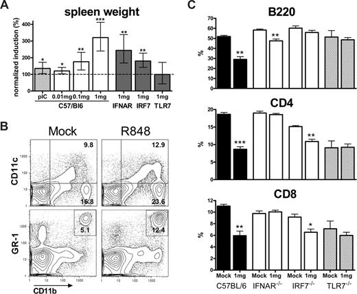 Figure 4. Splenomegaly is associated with an expansion of relative frequencies of myeloid cells and a relative contraction of lymphoid subsets. (A) Splenomegaly is dose and TLR7 dependent. Splenomegaly was less pronounced in IFNAR−/− or IRF7−/− mice and absent in TLR7−/− mice upon 1 mg/kg per day of R848 treatment. Spleen weight was first normalized to total body weight of each individual mouse and, second, normalized to the spleen weight of mock-treated animals. Error bars indicate 95% confidence intervals. (B) The prevalence of CD11b+ macrophages, CD11c+ dendritic cells, and CD11b+/Gr-1+ neutrophils was increased, whereas that of lymphoid subpopulations was decreased as compared with mock-treated animals (C). Mice were treated with PBS or 1 mg/kg per day R848 for 7 days. Splenocytes were stained with indicated antibodies and relative numbers were assessed by flow cytometry. Error bars indicate standard error. N ≥ 3.