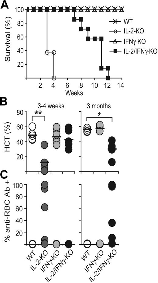 Figure 2. Elimination of IFN-γ in IL-2–KO mice delays AIHA development but does not alter lymphoproliferation. (A) Survival plots of WT, IL-2–KO, IFN-γ–KO, and IL-2/IFN-γ–KO mice. (B) Hematocrits (HCT) were measured from peripheral blood. (C) RBCs were stained with anti–mouse IgG-FITC to detect bound anti-RBC antibodies. There are no live IL-2–KO mice at 3 months; therefore, no data for these mice are shown at the late time point. Circles represent individual mice; n = 4 to 7 mice per genotype and time point. *P < .001; **P < .005.