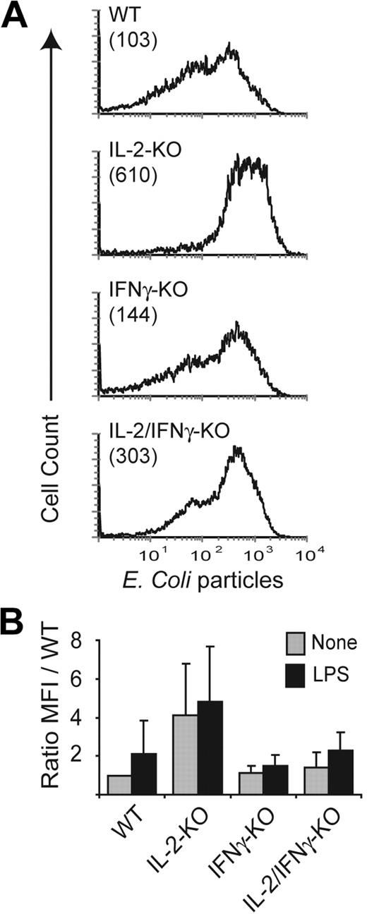 Figure 4. IL-2–KO macrophages have augmented phagocytosis activity. Splenic macrophages were seeded into tissue-culture plates overnight with and without LPS simulation. (A) Representative experiment showing E coli particle uptake by nonstimulated CD11b+ macrophages. The number in parentheses represents the mean fluorescent intensity (MFI). (B) Ratio of the MFI of E coli particle uptake by CD11b+ cells relative to nonstimulated WT cells is shown. Bar graph represents the mean plus or minus SD of 5 independent experiments. E coli particle uptake by unstimulated IL-2–KO CD11b+ cells is statistically different from all other genotypes (P < .05).