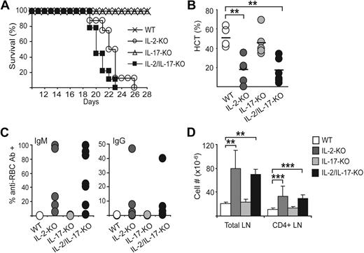Figure 6. IL-17 is not critical for AIHA development in IL-2–KO mice. (A) Survival plots of WT, IL-2–KO, IL-17–KO, and IL-2/IL-17–KO mice. (B) Hematocrit (HCT) values were measured from terminal blood draws. (C) RBCs were stained with anti–mouse IgM or IgG-FITC to evaluate the level of bound anti-RBC antibodies. (D) Bar graphs represent the number (×10−6) of total LN and CD4+ T cells at 3 to 4 weeks. Circles represent individual mice. Bar graphs represent mean plus or minus SD; n = 5 to 9 mice per genotype and time point. **P < .005; ***P < .05.