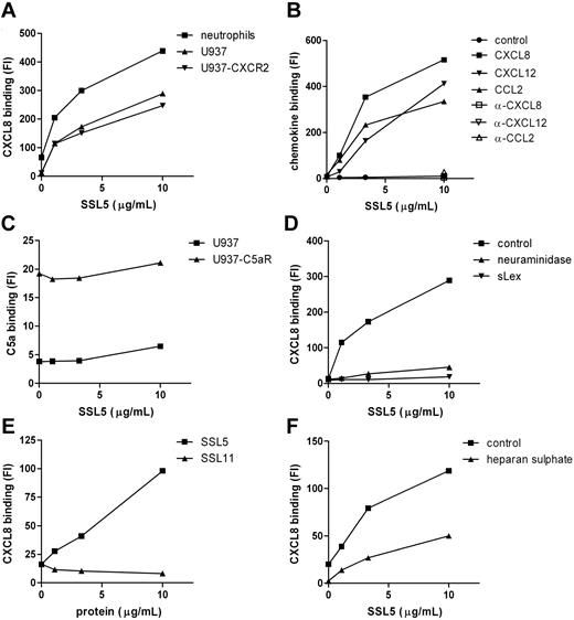 Figure 6. SSL5 induces chemokine binding to glycoproteins independent of chemokine receptors. (A) Binding of CXCL8-biotin was measured to neutrophils (■), U937 (▴), and U937-CXCR2 (▾) cells after treatment with SSL5 for 15 minutes. (B) U937 cells were incubated for 15 minutes with SSL5. Binding of biotin-labeled control protein (●), CXCL8 (■), CXCL12 (▾), or CCL2 (▴) untreated or preincubated with blocking α-CXCL8 (□), α-CXCL12 (▿), or α-CCL2 (▵), respectively, was measured. (C) C5a-FITC binding to U937 (▴) or U937-C5aR (■) cells was measured after incubation with SSL5. (D) Binding of CXCL8-biotin was measured to untreated (■) or neuraminidase-treated (▴) U937 cells after incubation with SSL5 that was preloaded without or with sLex (▾) for 15 minutes. (E) Binding of CXCL8-biotin was measured to U937 cells after treatment with SSL5 (■) or SSL11 (▴) for 15 minutes. (F) Cells were treated with SSL5 for 15 minutes and binding of CXCL8-biotin preincubated with (▴) or without (■) heparan sulfate for 30 minutes was measured. Results are representative of 3 independent experiments.