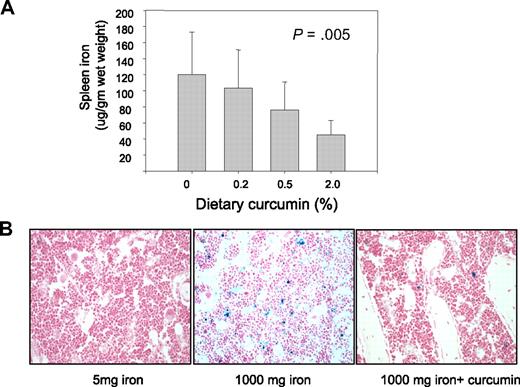 Figure 4. Curcumin reduces spleen iron and stainable iron in the bone marrow. (A) Spleen nonheme iron was measured in mice receiving 5 mg/kg dietary iron supplemented with curcumin at 0%, 0.2%, 0.5%, or 2.0%. Shown are means and SD; n = 5. Spleen iron showed a statistically significant change in response to curcumin dose (P = .005 for trend). (B) Bone marrow was obtained from decalcified femurs of representative mice and stained with hematoxylin and eosin and Perl stain. Mice had received either 5 mg/kg iron plus 0 curcumin, 1000 mg/kg iron plus 0 curcumin, and 1000 mg/kg iron plus 0.2% curcumin.