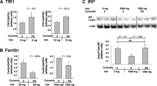 Figure 5. Curcumin modulates iron-regulatory proteins in the liver. (A) TfR1 was analyzed in mice fed low-iron diets (containing either 5 mg/kg or 12 mg/kg dietary iron) in the presence or absence of 2% curcumin. Liver homogenates were prepared and TfR1 levels were assessed by Western blotting. Shown are means and SD; n = 5. (B) Ferritin was analyzed in mice fed normal or high-iron diets (containing either 50 mg/kg or 1000 mg/kg dietary iron) in the presence of absence of 2% curcumin. Total ferritin (ferritin H + ferritin L) was assessed by Western blotting in liver homogenates. Shown are means and SD; n = 5. (C) The ratio of active to total IRP was analyzed using bandshift assays as described in “RNA-binding protein gel-shift assay.” Liver homogenates were prepared from mice receiving 5 mg/kg dietary iron plus 0 curcumin, 1000 mg/kg dietary iron plus 0 curcumin, or 1000 mg/kg dietary iron plus 2% curcumin. Shown are means and SD; n = 3.