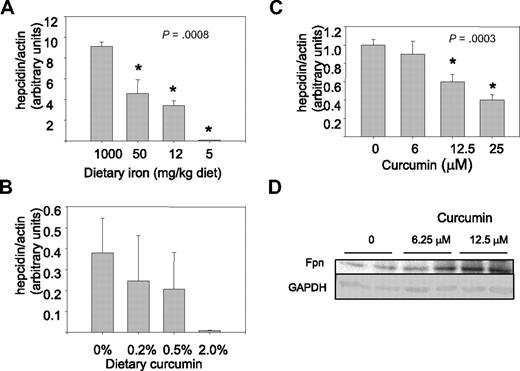 Figure 6. Hepcidin is decreased by dietary iron deficiency or by curcumin. (A) Hepcidin mRNA was measured by real-time RT-PCR in livers of mice receiving dietary iron ranging from 1000 to 5 mg/kg diet (n = 5). Data were normalized to β-actin mRNA. The decline in hepcidin was statistically significant. (B) Hepcidin was measured in mice receiving 5 mg/kg dietary iron supplemented with different concentrations of dietary curcumin (n = 5). The difference between the 0% and 2.0% dietary curcumin group is of borderline significance compared using a 2-sample t test for specific comparisons (P = .08); other differences were not statistically significant. (C) HepG2 hepatocytes were treated with increasing concentrations of curcumin for 8 hours and hepcidin mRNA measured by real-time RT-PCR. Data were normalized to β-actin mRNA. The decline in hepcidin was statistically significant (P < .001 for trend); 12.5 and 25 μM curcumin were statistically different from control (P ≤ .001); 6.25 μM curcumin was not different from control). (D) Duplicate cultures of HepG2 cells were treated with the indicated concentrations of curcumin for 48 hours, and ferroportin levels assessed by Western blot. GAPDH was used as a loading control.