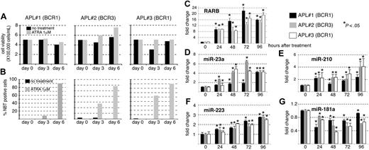 Figure 4. miRNA profiles of APL primary blast upon ATRA treatment. Blast cells extracted from bone marrow of 3 different patients with APL were cultured for 6 days with ATRA (0.1 μM). (A) Viable cell counts during ATRA treatment were determined using Trypan blue. (B) Granulocytic differentiation was assessed by NBT dye reduction assay. (C-G) RT-qPCR analyses specific for RARB (C), miR-23a (D), miR-210 (E), miR-223 (F), miR-181a (G). Total RNAs were extracted each day of ATRA treatment for 4 days. Results are indicated as fold change, 1 being the value obtained in the absence of ATRA treatment (0 hour after treatment) for each patient (*P < .05).