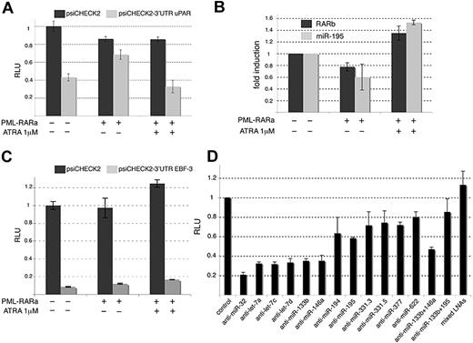Figure 7. miRNAs repressed by PML-RAR control crucial cancer genes. (A) Luciferase assay performed in 293T cells transfected with the empty renilla luciferase reporter gene psiCHECK2 (dark histograms) or with the reporter fused to the uPAR 3′ UTR (psiCHECK2–3′ UTR uPAR; gray histograms). The cells were also transfected with the pcDNA3 plasmid or the PML-RARA–expressing vector and treated or not with ATRA (1 μM) for 16 hours as indicated. Results are expressed as RLUs, 1 representing the value obtained with the empty psiCHECK2 plasmid in absence of PML-RARA and treatment. (B) RT-qPCR analyses directed against the RARB mRNA and the miR-195 in 293T cells transfected and treated as in panel A. (C) Luciferase assay performed in 293T cells transfected with the empty renilla luciferase reporter gene psiCHECK2 (dark histograms) or with the reporter fused to the EBF-3 3′ UTR (psiCHECK2-3′ UTR EBF-3; gray histograms). Cells were treated and results analyzed as in panel A. (D) LUC assay performed in 293T cells transfected with the psiCHECK2 or psiCHECK2-3′ UTR uPAR together with specific LNA miRNA inhibitors as indicated. LNA anti–miR-32 was used as a negative control. The results are expressed as RLU, 1 being the value obtained with the empty psiCHECK2 plasmid for each LNA treatment (control).