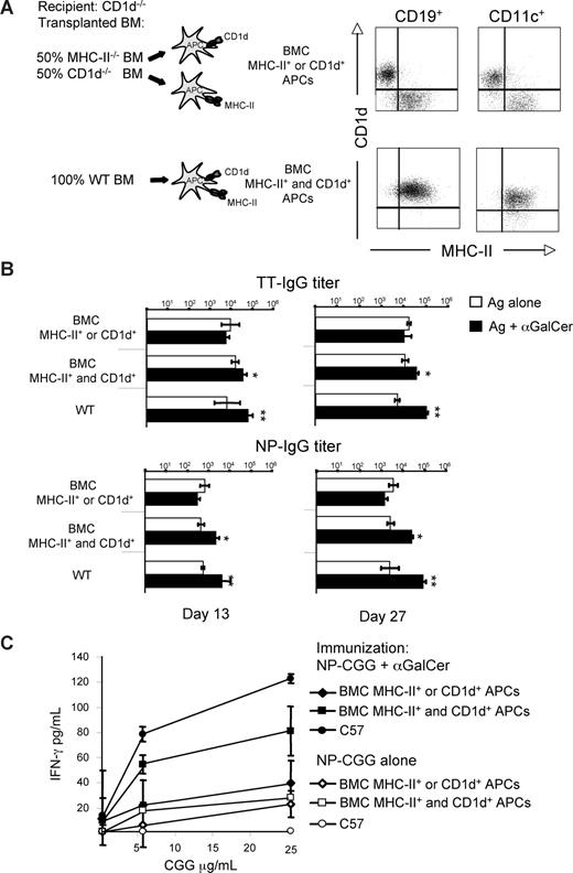 Figure 2. αGalCer-activated iNKT cells enhance T-D B-cell response to protein vaccines by facilitating Th-cell priming via licensing of the same APC. Specific IgG and T-cell responses induced in mixed BMCs and wt mice by vaccination with Ags mixed or not mixed with αGalCer, according to the schedule in Figure S1. (A) Expression of MHC-II and CD1d on circulating B cells (CD19+) and, in 2 representative animals displaying the expected expression on circulating B cells, on splenic DCs (CD11c+) of BMCs. (B) Ag-specific IgG titers induced in BMCs and wt mice by vaccination. (C) IFN-γ secretion by splenic T cells upon restimulation in vitro with CGG 10 days after immunization of mice with NP-CGG with or without αGalCer. Asterisks indicate statistically significant differences: * indicates P values less than or equal to .05; **P ≤ .01. Shown are the results from 1 experiment representative of 2 in which 5 mice per group were tested. Results are shown as mean plus or minus SEM.