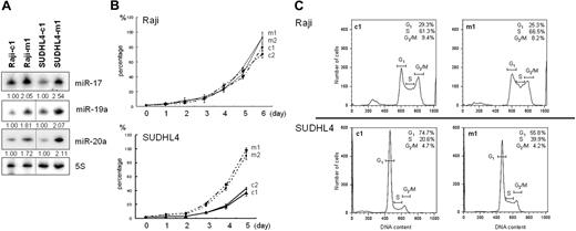 Figure 2. Transfection of miR-17-19b-1 into B-cell lymphoma cell lines. (A) MiR-17, -19a, and -20a expression in Raji and SUDHL4 cells transfected with miR-17-19b-1 (Raji-m1 and SUDHL4-m1) or empty vector (Raji-c1 and SUDHL4-c1). Fold changes were determined by densitometry and are shown relative to the density obtained with cells transfected with empty vector, which was assigned a value of 1.00. (B) Cell proliferation assays carried out with 2 Raji and 2 SUDHL4 clones transfected with miR-17-19b-1 (Raji-m1 and Raji-m2/SUDHL4-m1 and SUDHL4-m2) or empty vector (Raji-c1 and Raji-c2/SUDHL4-c1 and SUDHL4-c2). Broken lines indicate Raji-c1 and Raji-c2. Cells were transfected using a lentiviral vector and plated at a density 104 cells per well 5 to 7 days after EGFP selection. Cell proliferation was standardized to the fastest proliferating cells and was set to 100%. Symbols and bars indicate means and SDs of 2 independent experiments. (C) Cell-cycle analysis of Raji and SUDHL4 cells transfected with miR-17-19b-1 (Raji-m1 and SUDHL4-m1) or empty vector (Raji-c1 and SUDHL4-c1). Average (n = 3) percentage of empty vector–transfected Raji cells (c1) in G1 phase: 29.3%, S phase: 61.3, and G2 phase: 9.4%; and of miR-17-19b-1–transfected Raji cells (m1) in G1 phase: 25.3%, S phase: 66.5%, and G2 phase: 8.2%. Average (n = 3) percentage of empty vector–transfected SUDHL4 cells (c1) in G1 phase: 74.7%, S phase: 20.6%, and G2 phase: 4.7%; and of miR-17-19b-1–transfected SUDHL4 cells (m1) in G1 phase: 55.8%, S phase: 39.9%, and G2 phase: 4.3%. X-axis represents DNA content; y-axis, number of cells. Horizontal bars represent cell-cycle phases (G1, S, G2/M).