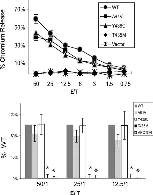 Figure 6. Cytotoxic function of perforin expressed in murine P14/Prf1−/− splenocytes. Murine splenocytes expressing human perforins were coincubated with gp33-loaded EL4 target cells in a standard chromium release assay. Cytotoxicity was measured by the percentage of chromium released from targets. The negative control cells were transduced with vector alone (no perforin). WT indicates wild-type human perforin. The top panel is a single representative assay. Each E/T coincubation is performed in quadruplicate to generate a mean plus or minus SE. The bottom panel is the data summarized from 3 independent retroviral transductions followed by cytotoxicity assays, graphed as a percentage of WT function for each assay. Only the T435M and vector alone were different from WT. *Statistical significance (2-tailed Student t test, P < .01).