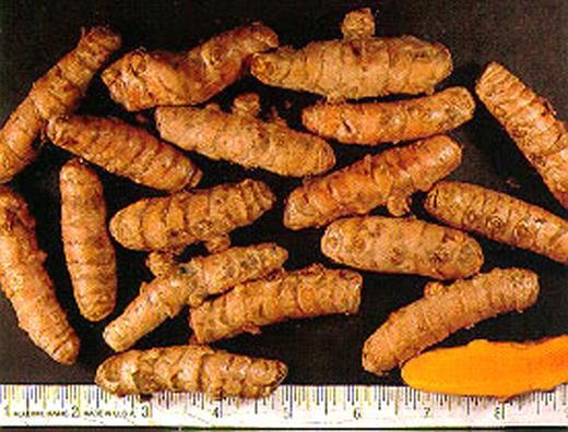 The root of iron chelation? Reprinted with permission from the California Department of Food and Agriculture.