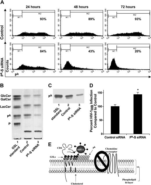 Figure 7. Specific depletion of Pk correlates with increased HIV-1 infection. CD4+ HeLa cells (clone 6C) were transfected daily with either control siRNA or Pk synthase (Pk-S) siRNA, and cultured for 72 hours to deplete Pk-S, and subsequently Pk. FACS analysis was performed and scatter plots of CD4+ HeLa cells labeled with VT1B-Alexa458 were analyzed, where background was compensated to unstained controls. (A) Histogram plots representing percentage of cell populations expressing Pk. (B) TLC of total GSLs extracted from control and Pk-S siRNA-transfected CD4+ HeLa cells. Lane 1: GSL standards. Lane 2: Control siRNA-transfected cells. Lane 3: Pk-S siRNA-transfected cells. (C) VT1 overlay for Pk detection was carried out on TLC of total GSLs Lane 1: GSL standards. Lane 2: Control siRNA-transfected cells. Lane 3: Pk-S siRNA-transfected cells. (D) HIV-1IIIB (MOI, 0.3) infection of control (control siRNAs)- or Pk-S siRNA-transfected CD4+ HeLa cells was measured by p24gag production after 5 days of culture. Data are representative of the mean plus or minus SEM where n = 3 infection data points. *P < .05. This figure is representative of 3 independent experiments. (E) A schematic working model for Pk-induced protection against HIV-1 infection. HIV first binds to CD4, which exposes the GSL and chemokine coreceptor binding site within the V3 loop of HIV gp120. When Pk is highly expressed, it can successfully compete with chemokine coreceptor for the exposed sites within the V3 loop; thus, Pk interferes with the process of membrane fusion.