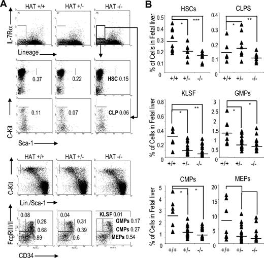 Figure 2. Analyses of HSC and precursor populations in HAT+/+, HAT+/−, and HAT−/− fetal liver. (A) Staining and (B) quantification of E14.5 fetal liver cells with the indicated antibodies to identify the HSC, CLP, GMP, CMP, MEP, and KLSF populations by flow cytometry. To analyze the HSC and CLP populations, 8 HAT+/+, 8 HAT+/−, and 8 HAT−/− mice were used. To analyze the GMP, KLSF, CMP, and MEP populations, 8 HAT+/+ 24 HAT+/−, and 8 HAT−/− mice were used. The values represent the percentage of cells in each cell population. Each sample is represented by a ▴, and the average of the samples is presented as a horizontal bar. *P < .5; **P < .01; ***P < .005.