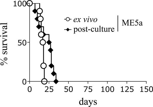 Figure 2. Leukemic cells retain the ability to induce accelerated leukemia after in vitro culture. Survival curves of mice transplanted with ME5a leukemic cells, either freshly isolated (○, n = 10) or after 1-month culture in vitro (♦, n = 10).