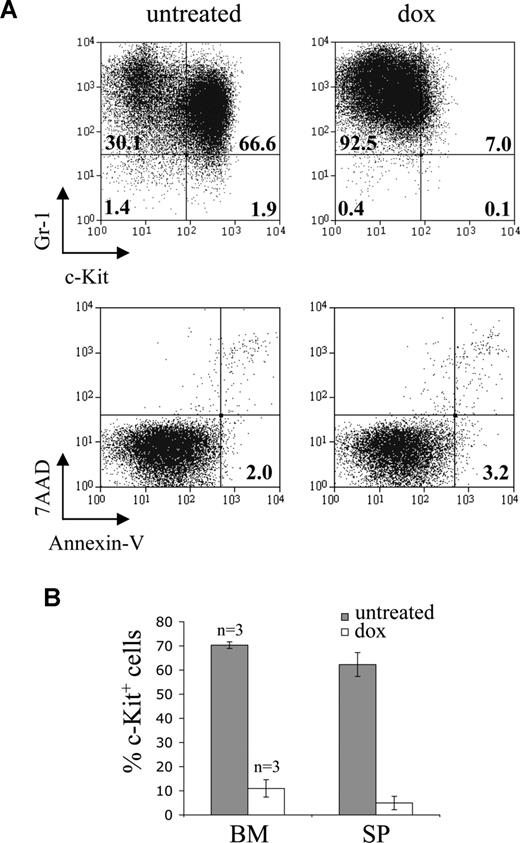 Figure 6. Leukemic cells differentiate in vivo in response to doxycycline. (A) Response of leukemic ME4b cells to doxycycline in vivo. Dot plots show Gr-1 and c-Kit expression (top panel), and staining with 7-amino-actinomycin D (7-AAD) and annexin V (bottom panel), on gated EGFP+ ME4b cells in the bone marrow of mice 18 days after transplantation with ME4b cells and 3 days after their treatment (right plot), or not (left plot), with doxycycline. Numbers in the plots represent the percentage of cells in each quadrant (top panel) and of apoptotic (7-amino-actinomycin D−annexin-V+) EGFP+ cells (bottom panel). The mean fluorescence intensity of Gr-1 expression by ME4b cells (top panel) increased from 684 to 1259 after doxycycline treatment. (B) Percentage of EGFP+ ME4b cells expressing c-Kit in the bone marrow and spleen of the recipient mice from panel A, treated (□) or not (■) with doxycycline. Bars represent mean values (n = 3); error bars represent SD.