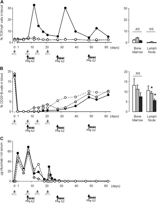 Figure 5. B-cell depletion in macaques is enhanced by treatment with RTX, PAg, and IL2. Age- and sex-matched cynomolgus macaques received intravenous RTX alone (group 1; n = 4; empty circles and bars), RTX and IL2 (group 2; n = 4; gray circles and bars) or RTX, PAg, and IL2 (group 3; n = 6; black circles and bars) at the intervals specified on the graphs. Data shown are group means for blood (graphs, left) and group means ± SEM for bone marrow and lymph nodes (histograms, right) showing the percentage of cells that were TCRVγ9+ cells (A) and CD20+ B cells (B). (C) Group means for serum concentrations of RTX; *P < .05 by 1-tailed Mann-Whitney tests.