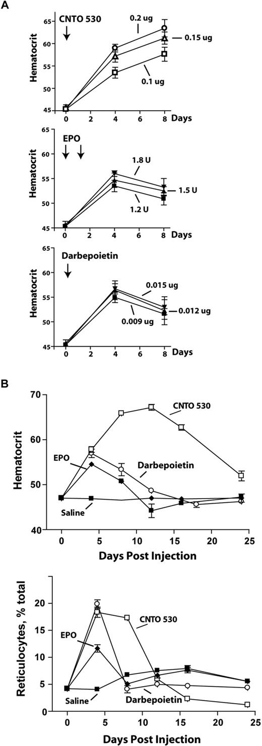Figure 1. CNTO 530, epoetin-alfa, and darbepoietin-alfa dose-dependent effects on red cell production. (A) In dose-response studies, the capacity of CNTO 530 to stimulate red cell production in wild-type C57BL/6 mice was analyzed and was compared with dose responses for epoetin-alfa (EPO) and darbepoietin-alfa. CNTO 530 and darbepoietin-alfa were as single intraperitoneal injections, whereas epoetin-alfa (EPO) was injected at 1 and 24 hours (as indicated by ). Doses are as microgram or unit (U, EPO) per mouse gram-weight. Hematocrits are mean values ± SE (n = 5). (B) Time-course analysis of CNTO 530–induced red cell and reticulocyte production: Mice were injected with CNTO 530, epoetin-alfa (EPO), or darbepoietin-alfa at near maximal doses (0.15 μg/mouse gram-weight, 1.5 U/mouse gram-weight, and 0.012 μg/mouse gram-weight, respectively). Responses in hematocrits and reticulocytes then were determined on days 4, 8, 12, 16, and 24, and are graphed as mean values ± SE (n = 4).