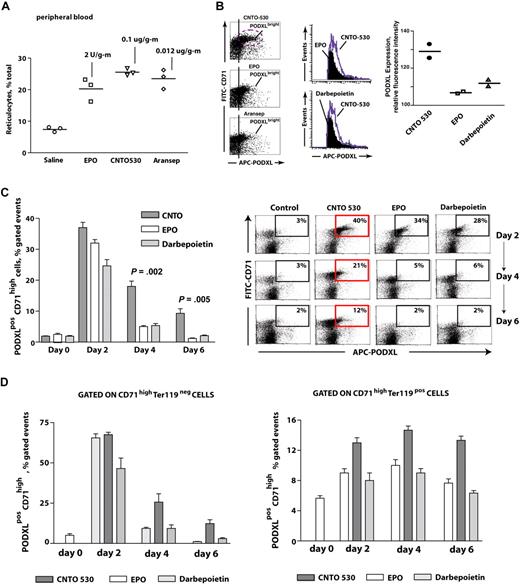 Figure 5. CNTO 530 enhances the formation of PODXLhighCD71high bone marrow erythroid progenitors. (A) To investigate possible differential effects of CNTO 530 and epoetin-alfa or darbepoietin-alfa on bone marrow erythroid progenitor cell populations, mice were administered each at doses that at day 4 provided near maximum, and highly comparable levels of reticulocyte and red cell production. Near equivalency in reticulocyte production at day 4 was observed after dosing with CNTO 530 (0.15 μg/mouse gram-weight), epoetin-alfa (EPO; 2 U/mouse gram-weight at 1 and 24 hours), or darbepoietin-alfa (0.012 μg/mouse gram-weight). Values for each injected mouse are shown together with mean values (horizontal bars). (B) For bone marrow–resident erythroid progenitors, CNTO 530 induced significant increases in the intensity (ie, cell surface density) of PODXL expression. Here, this is shown in representative flow cytometric analyses that compare PODXL expression levels after CNTO 530 versus EPO dosing, and CNTO 530 versus darbepoietin-alfa. (C) At days 2, 4, and 6, frequencies of PODXLhighCD71high progenitors within bone marrow were determined by flow cytometry. Top panels illustrate representative flow cytometry analyses and demonstrate a clear advantage for CNTO 530 in stimulating the formation of this PODXLhighCD71high erythroid progenitor cell pool, especially at days 4 and 6. Mean frequencies (± SE) of such PODXLhighCD71high progenitors are graphed as analyzed in n = 3 mice after CNTO 530, EPO, or darbepoietin-alfa injections. (EPO was administered at 1 and 24 hours.) (D) Gating on, or off, Ter119posCD71high erythroid progenitors revealed that CNTO 530's effects on enhanced PODXL expression was exerted among not only later stage Ter119pos cells, but also their CD71highTer119neg progenitors. Values are means ± SE (n = 3).