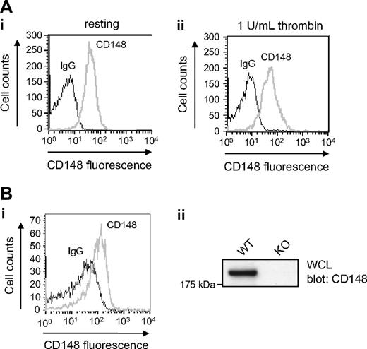 Figure 1. CD148 is expressed in human and mouse platelets. (A) Human platelets. (Ai) Resting and (Aii) thrombin-activated (1 U/mL) human platelets were stained with a mouse anti–human CD148 primary antibody (CD148, gray line) that recognizes the extracellular region of CD148, or the same amount of an isotype control antibody (IgG, black line), followed by a FITC-conjugated anti–mouse IgG secondary antibody and analyzed by flow cytometry. No detectable change in CD148 surface expression was observed in thrombin-activated platelets. (B) Mouse platelets. (Bi) Resting wild-type (WT) mouse platelets were incubated with either hamster anti–mouse CD148 primary antibody (CD148, gray line) that recognizes the extracellular region of mouse CD148, or an isotype control antibody (IgG, black line). Platelets were subsequently stained with FITC-conjugated anti–hamster secondary antibody and analyzed by flow cytometry. (Bii) Whole-cell lysates (WCLs) prepared of WT and CD148 transmembrane-knockout (KO) mouse platelets were Western blotted for CD148. A 220-kDa band was detected in the WT sample but not in the KO sample.