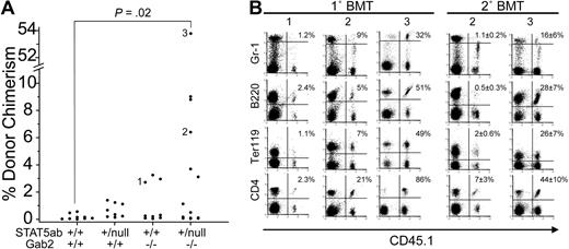 Figure 2. Improved engraftment in STAT5ab+/null host mice by Gab2 deletion during nonablative transplantation. Recipient mice (CD45.2) were transplanted with 5 × 106 CD45.1+ BM cells. (A) Percentage of donor chimerism (% CD45.1+ cells) in each recipient mouse 16 weeks after BM injection. From 2 separate injection dates, wild-type (n = 9), STAT5ab+/null (n = 8), Gab2−/− (n = 9), and from 5 separate injection dates STAT5ab+/nullGab2−/− (n = 14). The Wilcoxon 2 sample test was used for statistical analysis. Numbers 1 to 3 are mice that were further analyzed in panel B. (B) Representative dot plots of primary recipient mice as well as secondary transplanted recipients 16 weeks after BM injection and the percentage of donor-derived Gr-1, B220, Ter119, or CD4 cells are shown. In panel A, numbers 2 and 3 denote specific mice that were killed and BM analyzed by secondary transplantation (one donor into 5 recipients for Gab2−/−STAT5ab+/null), and average plus or minus SD values are indicated above each plot.