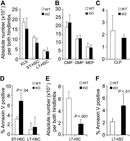 Figure 5. Conditional deletion of STAT5 increases host HSC apoptosis and decreases HSC pool size. BM from STAT5 KO and littermates was assayed by multiparameter flow cytometry to quantitate the number of primitive BM fractions. BM was stained with antibodies against lineage markers, c-Kit, Sca-1, and Flk2 (A) or lineage markers, c-Kit, Sca-1, CD34, CD16/32, and IL-7R (B,C). Three separate experiments were performed with 3 to 5 mice per genotype compared. (A) The absolute number of primitive HSC populations in BM cells from both hind limbs. KLS cells were defined as c-Kit+Lin−Sca-1+ cells. ST-HSCs are identified as Flk2+KLS cells and LT-HSCs as identified as Flk2−KLS cells. (B) The absolute number of common myeloid progenitor (CD34+/lowCD16/32intLin−c-Kit+Sca-1−), granulocyte-macrophage progenitor (CD34+CD16/32+Lin−c-Kit+Sca-1−), and megakaryocyte-erythroid progenitor (CD34−CD16/32−Lin−c-Kit+Sca-1−) cells per both hind limbs are shown. (C) The absolute number of CLP was defined by IL-7R+Lin−Sca-1lowc-Kitlow phenotype and is shown per both hind limbs. (D) The proportion of annexin V–positive (DAPI-negative) cells within the ST-HSC and LT-HSC fractions is shown (n = 3). (E) Three to 4 months after pI:pC treatment (7 doses), the absolute number of LT-HSC defined both as CD34− and Flk2− KLS were analyzed from both hind limbs (n = 7). (F) One or 5 months after pI:pC treatment (7 doses), the percentage of annexin V–positive/DAPI-negative LT-HSCs (CD34− KLS) was analyzed for wild-type (n = 6) and KO (n = 7) mice.