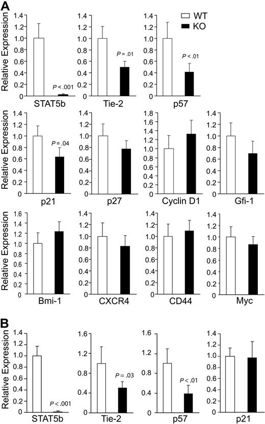 Figure 7. Conditional deletion of STAT5 causes rapid and sustained reduction in expression of quiescence-associated genes in HSCs. (A) BM was isolated from 4 independent pairs of wild-type and STAT5 KO mice, and KLS cells were sorted before mRNA isolation. Deletion of STAT5b is shown as a control. The relative mRNA expression levels of Tie-2, p57, p21, p27, Cyclin D1, Gfi-1, Bmi-1, CXCR4, CD44, and Myc were evaluated by quantitative real-time RT-PCR. Means from 3 or 4 independent experiments are shown with SD. (B) BM was isolated 1 month after 7 doses of pI:pC, and means from 3 independent experiments are shown for analysis of STAT5b, Tie-2, p57, and p21. From panels A and B, each batch of sorted KLS cells from WT and KO mice was analyzed by quantitative real-time PCR performed with the gene of interest and endogenous control GAPDH in triplicate.