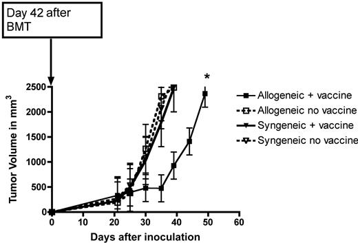 Figure 3. Vaccinated, allogeneic BMT recipients have slower tumor growth. MB49 was placed on BMT recipients on day 42 and measured for growth in syngeneic and allogeneic BMT recipients who received 5 × 106 cells for their DLI on days 14 and 28 with or without a male DC vaccine, 5 or 6 mice/group. *P < .01.