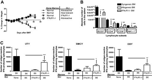 Figure 4. Absence of IFN-γ signaling on donor bone marrow abrogates GVHD but maintains vaccine responses. (A) Weights were recorded on mice that received either wild-type or IFN-γR1−/− allogeneic DLI at a dose of 20 × 106 cells given on days 14 and 28 after reconstitution with wild-type bone marrow. Other recipients received wild-type or IFN-γR1−/− allogeneic bone marrow followed by a normal, alloreactive DLI at a dose of 20 × 106 cells on days 14 and 28; 7 mice/group. (B) Spleens harvested on day 42 were analyzed by flow cytometry for enumeration of lymphocyte subsets. The percentage of the lymphocyte subset was multiplied by the splenocyte count to obtain an absolute number of cells. *P < .05; **P < .01. (C) ELISPOT analysis of CD8+ and CD4+ T cells to the H-Y antigens were performed on day 42 comparing 4 groups of thymus-bearing mice: mice who received allogeneic bone marrow (BM) without DLI, allogeneic BM with an alloreactive DLI, allogeneic BM with IFN-γR1−/− allogeneic DLI, and IFN-γR1−/− BM with an alloreactive DLI. All DLIs used 5 × 106 cells and were given on day 14 and 28, 8 mice/group. *P < .05, **P < .01, ***P < .001.