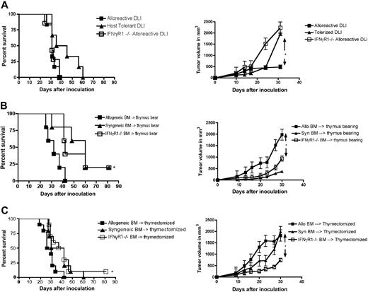 Figure 5. Absence of IFN-γ signaling on donor marrow, but not the DLI, leads to enhanced tumor protection, even in the absence of the thymus. (A) All groups were thymectomized and received allogeneic bone marrow but received either an alloreactive or host-tolerized DLI of 20 × 106 cells on days 14 and 28 that could or could not signal through IFN-γ. All groups were then challenged on day 42 with MB49 tumor, 7 mice/group, *P < .05. Survival differences were not significant (P = .33). (B) Thymus-bearing allogeneic BMT recipients were infused with wild-type or IFN-γR1−/− allogeneic bone marrow and given a normal alloreactive DLI of 20 × 106 cells on days 14 and 28. All groups were then challenged on day 42 with MB49 tumor, 5 mice/group, *P < .05. (C) Thymectomized allogeneic BMT recipients were infused with wild-type or IFN-γR1−/− bone marrow and given a normal alloreactive DLI of 20 × 106 cells on days 14 and 28. All groups were then challenged on day 42 with MB49 tumor, 10 mice/group. *P < .05.