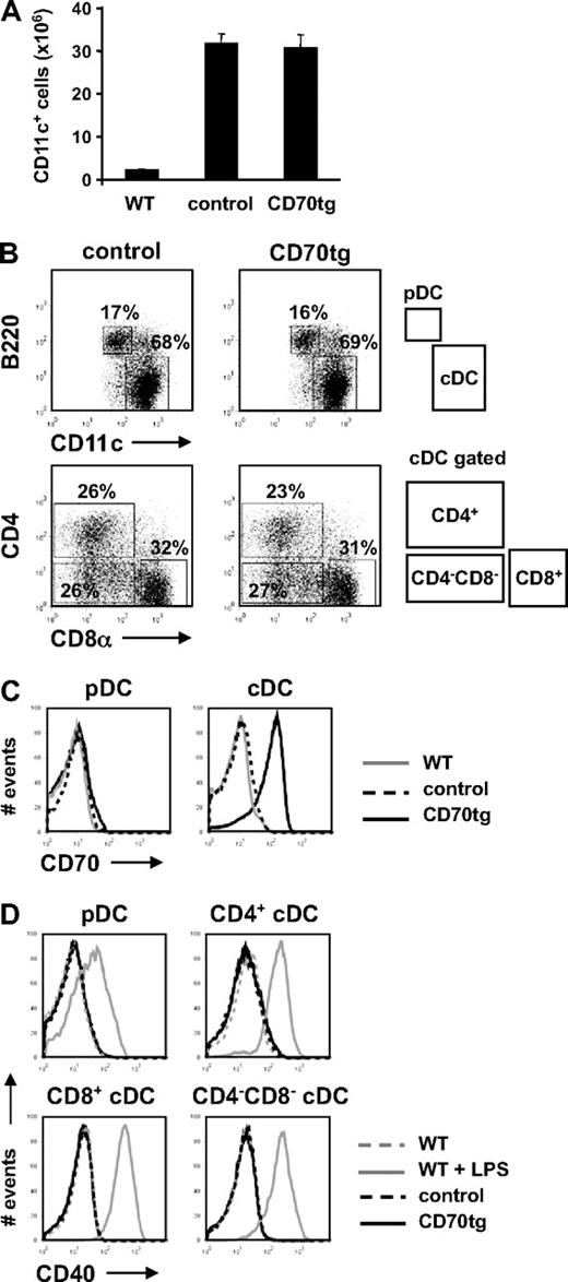 Figure 1. Characterization of CD70tg DCs. CD27−/− (control) or CD70tg;CD27−/− (CD70tg) donor mice were injected subcutaneously with B16 melanoma cells that secrete Flt3L, and analysis was performed 2 weeks later. (A) Mean numbers + SEM of CD11c+ cells in spleens of Flt3L-treated control and CD70tg mice and untreated WT mice (n = 5). (B) DC subset distribution. DCs were isolated from spleen by density gradient centrifugation; stained with directly conjugated antibodies to CD11c, CD45R/B220, CD4, CD8α, CD70, and CD40; and analyzed by flow cytometry. Gating strategy to identify pDC and cDC subsets and their percentage are indicated. (C) Expression of CD70 at the cell surface of pDCs and cDCs isolated from untreated WT and Flt3L-treated control and CD70tg mice, as determined by flow cytometry on gated populations as indicated above. (D) CD40 expression on unstimulated or LPS-stimulated DCs from untreated WT mice and on DCs from Flt3L-treated control and CD70tg mice. Data are representative of 2 independent experiments.