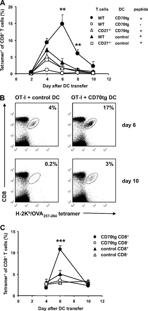 Figure 2. Antigen-specific T-cell responses after DC transfer. CD27−/− recipients received WT or CD27−/− OT-I T cells, and 1 day later they were injected intravenously with Flt3L-induced, OVA257-264 peptide-loaded or unloaded total DCs (A,B) or flow cytometrically sorted DC subsets (C) derived from CD27−/− (control) or CD70tg;CD27−/− (CD70tg) donor mice. (A) Percentages of H-2Kb/OVA257-264 tetramer-positive cells among CD8+ T cells in blood of recipients at the indicated days after DC transfer. (B) Representative flow cytometric data of the same experiment as in panel A depicting tetramer+ CD8+ T cells in blood of DC recipients at day 6 (peak of the response in CD70tg recipients) and day 10 (contraction phase). Numbers indicate percentages of H-2Kb/OVA257-264 tetramer-positive cells within the CD8+ T-cell population. (C) Expansion of WT OT-I T cells in response to OVA257-264 peptide-loaded CD8+ or CD8− cDC subsets derived from control or CD70tg donor mice. Data in panels A and C represent mean values (+ SEM) for 4 to 5 mice per group and are representative of 2 or more independent experiments. Asterisks indicate statistical significance between the groups that received control or CD70tg peptide-loaded DCs and WT T cells according to Student t test for *P < .05, **P < .01, and ***P < .001.
