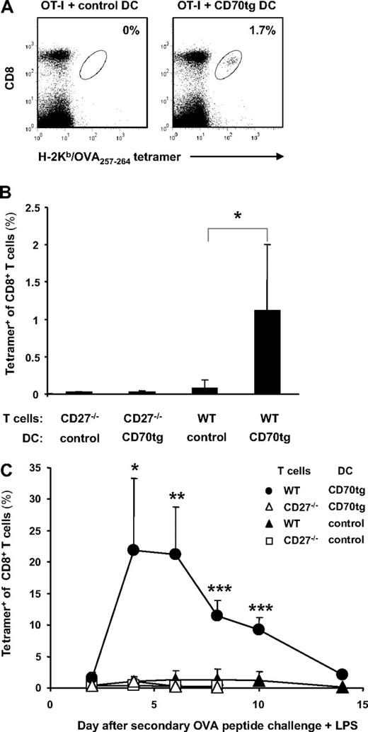 Figure 3. Memory formation and secondary responsiveness after DC transfer. Experimental set-up as described for Figure 2 with CD27−/− recipients of OT-I T cells and DCs. (A) Representative flow cytometric profiles of blood cells at 10 weeks after DC transfer. Numbers indicate percentages of H-2Kb/OVA257-264 tetramer-positive cells within the CD8+ T-cell population as marked by the oval. (B) Quantification of the steady state memory T-cell pool in blood at 10 weeks after adoptive transfer of WT or CD27−/− OT-I T cells and CD27−/− (control) or CD70tg;CD27−/− (CD70tg) OVA257-264 peptide-loaded DCs. (C) At 10 weeks after primary challenge, recipients were injected intravenously with OVA257-264 peptide in combination with LPS and percentages of H-2Kb/OVA257-264 tetramer-positive cells among CD8+ T cells in blood were determined on successive days. Data in panels B and C represent mean values (+SEM) for 4 mice per group and are representative of 2 independent experiments. Asterisks indicate statistical significance between the groups that received control or CD70tg peptide-loaded DCs and WT T cells according to Student t test for *P < .05, **P < .01, and ***P < .001.