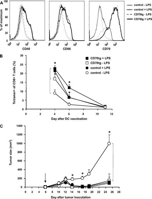 Figure 5. Comparison of immature and mature DCs in tumor rejection. CD27−/− recipients were challenged subcutaneously with 4 × 105 B16-OVA tumor cells on the shaved flank. Five days later, those mice in which tumor take was palpable were injected with WT OT-I cells, and the subsequent day (arrow, C) the same mice were injected with CD27−/− (control) or CD70tg;CD27−/− (CD70tg) DCs. These DCs had been loaded with OVA peptide for 3 hours and subsequently kept overnight either on ice (−LPS) or under culture conditions with LPS (+LPS). Maturation status of DCs was examined before transfer by flow cytometric analysis of cell surface expression of CD40, CD86, and CD70 within the PI−B220−CD11c+ gate (live cDCs) (A), and the equivalent of 2 × 106 viable DCs was injected per recipient. (B) Accumulation of OVA-specific CD8+ T cells, measured as outlined for Figure 2A. (C) Tumor size, as measured by caliper. Data represent mean values (+SEM) for 4 to 6 mice per group. Asterisks indicate statistical significance between the groups indicated by brackets according to Student t test for *P < .05, **P < .01, and ***P < .001.