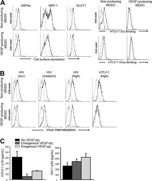 Figure 2. Endogenous production of VEGF165 by MDDCs correlates with reduced HTLV-1 entry. (A) Effect of endogenous VEGF165 production by MDDCs on receptor expression or HTLV-1 binding. (Left panels) Cell-surface expression of HSPGs, NRP-1, and GLUT-1 on nonproducing (LPS stimulation) and VEGF165-producing (LPS + PGE2 stimulation) MDDCs, determined by flow cytometry. (Right panels) Nonproducing and VEGF165-producing MDDCs were incubated with either HTLV-1 SU or HTLV-1 virions (black lines) or control SU-ASLV-rFc or medium (gray lines) and the amount of binding determined. (B) Effect of endogenous VEGF165 production by MDDCs on the internalization of HTLV-1 or HIV-1 virus. Nonproducing (top panels) and VEGF165-producing (bottom panels) MDDCs were incubated with culture medium (gray lines), and 25 ng/mL (low), 50 ng/mL (medium), or 100 ng/mL (high) HIV-1 (black lines) or with culture medium (gray line) or 100 ng/mL HTLV-1 (black line) and the amount of internalization was determined. (C) Effect of endogenous VEGF165 production by MDDCs on HTLV-1 or HIV-1 infection. MDDCs were infected with 100 ng of either HTLV-1 or HIV-1 virions. Seven days later, supernatants from individual wells were collected (8 wells/condition), and MDDC infection was measured by quantifying the concentration in supernatants of the viral core protein, MAp19 for HTLV-1 (left histogram) or CAp24 for HIV-1 (right histogram). The data are the mean ± SD of 1 representative experiment of 3 performed in octuplicate.