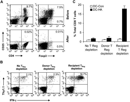 Figure 3. Depletion of CD4+CD25+ TReg cells from the donor lymphocyte graft fails to overcome posttransplantation tolerance. (A) Syngeneic transplantations were set up as described in Figure 1A. On day 0, splenocytes were purged of A20-HA. Some A20-purged donor lymphocytes were further depleted of CD25+ T cells by microbead selection. Percentages of CD4+CD25+ T cells (left), and CD4+CD25+Foxp3+ and CD4+CD25−Foxp3+ T cells (right) before and after depletion are indicated. (B,C) On day 0, recipients were transferred with either TReg cell–depleted (Donor TReg depletion) or unmanipulated (no TReg depletion) donor lymphocytes. Some recipients that received an unmanipulated lymphocyte graft were depleted of TReg cells in vivo after transplantation by PC61 injection (Recipient TReg depletion) as described in Figure 1. Fourteen days after transplantation, mice were vaccinated with DC-HA or DC-Control. Seven days after vaccination, splenocytes were stained with anti-CD8, anti-Thy1.1, and anti–IFN-γ antibodies and subjected to FACS analysis. The percentage of IFN-γ–secreting HA-specific T cells (Thy1.1+IFN-γ+) among total CD8 T cells is indicated (B). The mean percentage (± SD; n = 4) of IFN-γ–secreting HA-specific T cells among total CD8 T cells is indicated (C). Representative results of 3 independent experiments are shown.