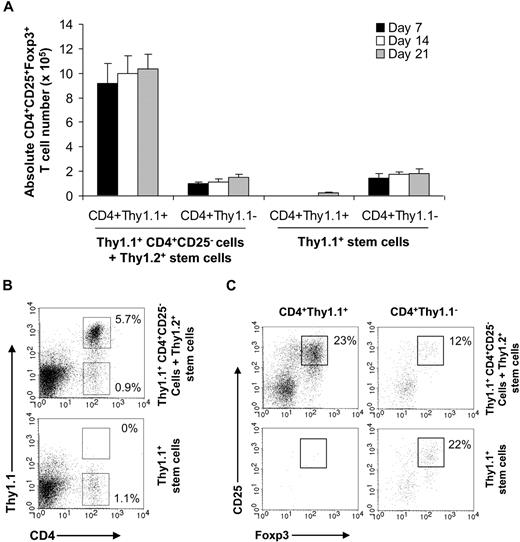 Figure 5. Rapid recovery of TReg cells is due to conversion of donor CD4+CD25− T cells into CD4+CD25+Foxp3+ TReg cells in recipients after transplantation. Syngeneic transplantations were set up as described. On day 0, a cohort of recipients (Thy1.2+) received FACS-purified CD4+CD25− T cells from Thy1.1+ tumor–bearing mice and Thy1.2+ stem cells (Thy1.1+CD4+CD25− cells + Thy1.2+ stem cells). Others received only stem cells from Thy1.1+ donor mice (Thy1.1+ stem cells). Seven, 14, and 21 days later, splenocytes were stained with anti-Thy1.1, anti-CD4, anti-CD25, and anti-Foxp3 antibodies and subjected to FACS analysis. (A) The mean absolute number (± SD; n = 4) of CD4+CD25+Foxp3+ T cells per spleen in each group is indicated. (B) The percentages of CD4+Thy1.1+ and CD4+Thy1.1− T cells among total lymphocytes at day 14 are indicated. (C) The percentages of CD25+Foxp3+ T cells among CD4+Thy1.1+ or CD4+Thy1.1− T cells at day 14 are indicated. Representative results of 2 independent experiments are shown.
