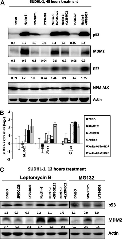 Figure 6. Transcriptional activation of p53 after inhibitor treatment. Treatment of cells with either inhibitor alone or in combination for 48 hours results in some cases in the stabilization of p53 protein levels and transcription of the p53 target proteins MDM2 and p21, as demonstrated by Western blot analysis (A). The transcription of MDM2, Noxa, and c-Jun were monitored by qRT-PCR after treatment of cells with a combination of 20 μM LY294002 and 20 μM nutlin-3 for 48 hours (B). Error bars represent SDs of the mean. SUDHL-1 cells were treated with combinations of inhibitors (at 20 μM each) for 12 hours in the presence of either leptomycin B or MG132 as indicated (C). Arbitrary units under the blots represent protein levels normalized for the actin control by densitometric analysis.