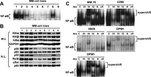 Figure 1. Expression of proteins involved in canonical and noncanonical pathways modulating NF-κB activity in MM cell lines. (A) Nuclear extracts from MM cell lines were subjected to EMSA to assess baseline NF-κB activity. Lane 1 indicates MM.1S; lane 2, MM.1R; lane 3, U266; lane 4, INA6; lane 5, H929; lane 6, RPMI8226; lane 7, RPMI-LR5; lane 8, OPM1; and lane 9, OPM2. (B) Immunoblot analysis of IKKs, Rel family member, p50, and p52 proteins in MM cell lines (lanes 1-9 as noted in legend for panel A). Whole-cell lysates (W.L.) were subjected to sodium dodecyl sulfate–polyacrylamide gel electrophoresis, followed by Western blotting with IKKα, IKKβ, IκB, and GAPDH Abs. Nuclear protein lysates (N.L.) were blotted with p50, p52, p65, RelB, cRel, and p84 nuclear protein Abs. Immunoblots are representative of similar results from 3 experiments. (C) To determine the role of Rel family proteins mediating constitutive NF-κB activity in MM.1S, U266, H929, RPMI8226, and OPM1 cells, supershift assays were carried out using anti-p65,(65), p50(50), p52(52), RelB (B), and c-Rel (cR) Abs. Exposure time of autoradiography varied for each cell line.