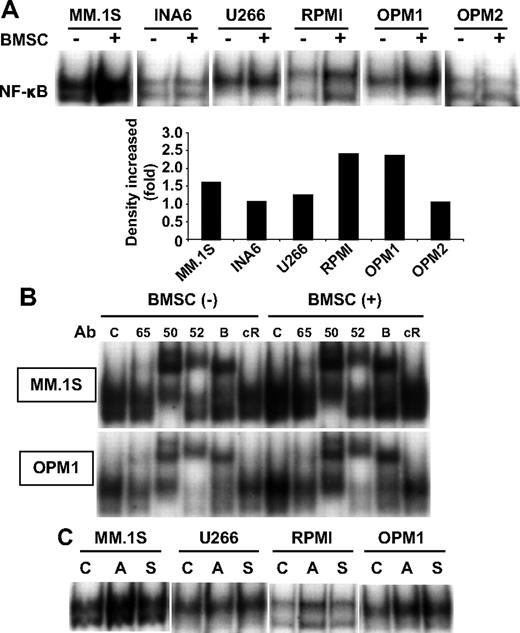 Figure 2. NF-κB activation in MM cell lines induced by coculture with BMSCs. (A) Indicated MM cell lines were cultured with BMSCs for 12 hours and NF-κB activity was assessed by EMSA. The intensity of the bands was digitalized by ImageJ software and indicates fold increase compared with nontreated (control) cells after BMSC coculture. (B) To determine the role of Rel family proteins mediating NF-κB activity induced by coculture of MM.1S and OPM1 cells with BMSCs, supershift assays were carried out using anti-p65(65), p50(50), p52(52), RelB (B), and c-Rel (cR) Abs. (C) MM cells were cultured alone (C) as well as with BMSCs (A, adhesion) or with BMSC culture supernatant (S) for 12 hours. Nuclear extracts were subjected to EMSA to assess NF-κB activity. Exposure time of autoradiography varied for each cell line.