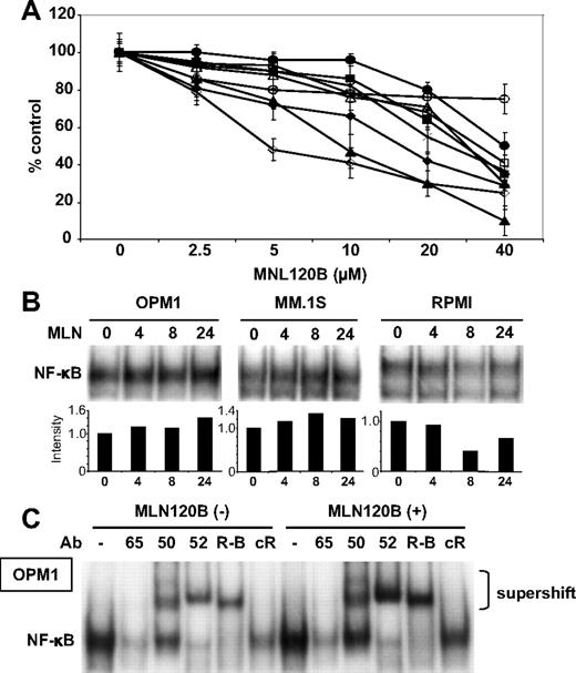 Figure 4. Inhibition of IKKβ does not block proliferation of MM cell lines which express both canonical and noncanonical NF-κB pathways. (A) MM.1S (○), MM.1R (■), U266 (□), INA6 (●), H929 (▴), RPMI8226 (♦), RPMI-LR5 (◇), OPM1 (Δ), and OPM2 (×) cells were cultured in the presence of MLN120B (0-40 μM) for 72 hours. Cell proliferation was assessed by 3H-thymidine uptake. (B) OPM1, MM.1S, and RPMI8226 cells were treated with or without MLN120B (5 μM) for the indicated time intervals. Nuclear extracts were subjected to EMSA to assess NF-κB activity. Exposure time of autoradiography varied for each cell line and intensity of the bands were digitalized by ImageJ software and indicated as fold-increase relative to control. (C) To determine the role of Rel family proteins mediating NF-κB activity in OPM1 cells before and after MLN120 treatment, supershift assays were carried out using anti-p65(65), p50(50), p52(52), RelB (R-B), and c-Rel (cR) Abs.