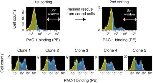 Figure 2. cDNA cloning of a molecule that restores PAC-1 binding. The mutant cells transiently transfected with a cDNA library were analyzed in PAC-1 binding, and the cells that showed high levels of PAC-1 binding within a window were sorted. Plasmids were rescued from these sorted cells and amplified by E coli into which cDNA plasmids were transformed. After 3 rounds of cDNA transient transfection, cell sorting, and plasmid rescue, finally, 5 cDNA clones that exhibited significant restoration of PAC-1 binding in the mutant cells were isolated.