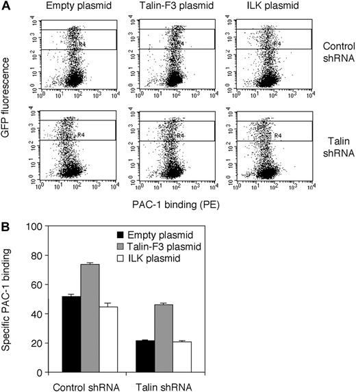 Figure 7. Effects of ILK overexpression on impaired PAC-1 binding in talin knocked-down parental cells. (A) Dot plot analysis of PAC-1 binding to cotransfectants of empty plasmid, talin-F3, or ILK with shRNA. GFP was used as a transfection marker. An empty plasmid (2 μg), a plasmid encoding a talin-F3 domain (2 μg), or rat ILK (2 μg) was cotransfected with plasmids encoding EGFP (0.5 μg) and shRNA (4 μg) to parental cells. Cells were stained with PAC-1 for flow cytometry. (B) Quantitative estimates of PAC-1 binding to the indicated transfectants. PAC-1 binding was measured in cells that showed high levels of GFP fluorescence (boxed regions in panel A) using flow cytometry. Nonspecific PAC-1 binding was measured in the presence of Ro44-9883, and specific PAC-1 binding was determined by subtracting the MFI of nonspecific binding from the MFI of PAC-1 binding to the indicated transfectants. Data are mean ± SD of 2 experiments.