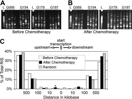 Figure 3. Similar distribution of retroviral integrants relative to proto-oncogenes before and after chemotherapy. Representative gel of RIS amplified by LAM-PCR before (A) and after (B) chemotherapy with either O6BG and BCNU (G069 and G154) or O6BG and temozolomide (G179 and G197). (C) The positions of RIS mapped relative to the RefSeq gene TSS of proto-oncogenes as defined in either the Sanger Cancer Gene Census or the Retroviral Tagged Cancer Gene Database. *P < .001 (SD).