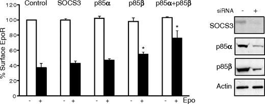 Figure 5. Concurrent knockdown of p85α and p85β diminishes receptor internalization. Receptor internalization was detected by flow cytometry in γ2A cells stably expressing EpoR and JAK2 and transfected with 100 nM siRNAs to SOCS3, p85α, p85β, or p85α and p85β together. Scrambled siRNA to GFP was used as a negative control. Immunoblots of each targeted protein demonstrate knockdown efficiency. Representative immunoblotting with actin was shown as a control. *P = .001 (unpaired t test) versus control.